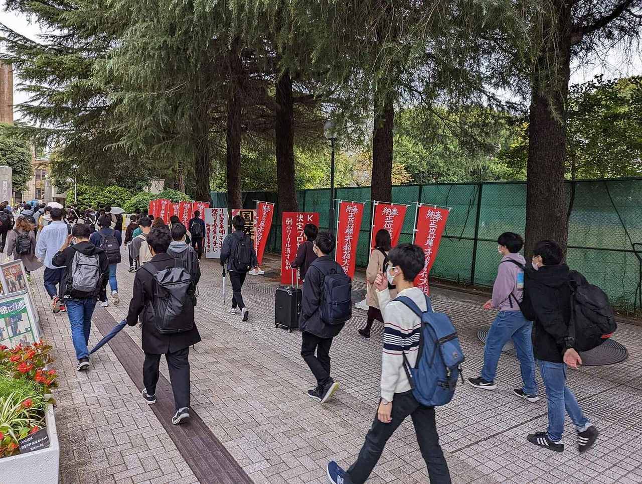 Students walking along a tree-lined path towards a university campus in Tokyo